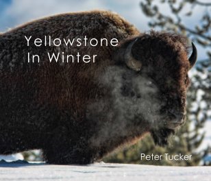 Yellowstone in Winter book cover