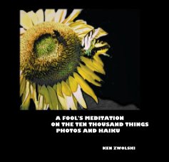 A FOOL'S MEDITATION ON THE TEN THOUSAND THINGS PHOTOS AND HAIKU book cover