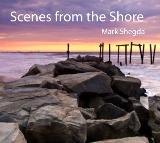 Scenes from the Shore book cover