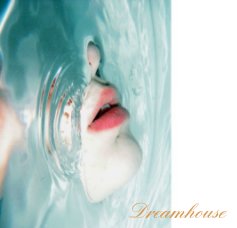 Dreamhouse book cover