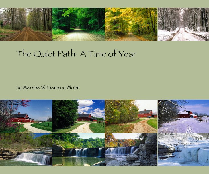 View The Quiet Path: A Time of Year by Marsha Williamson Mohr