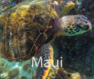 Maui 2013 book cover