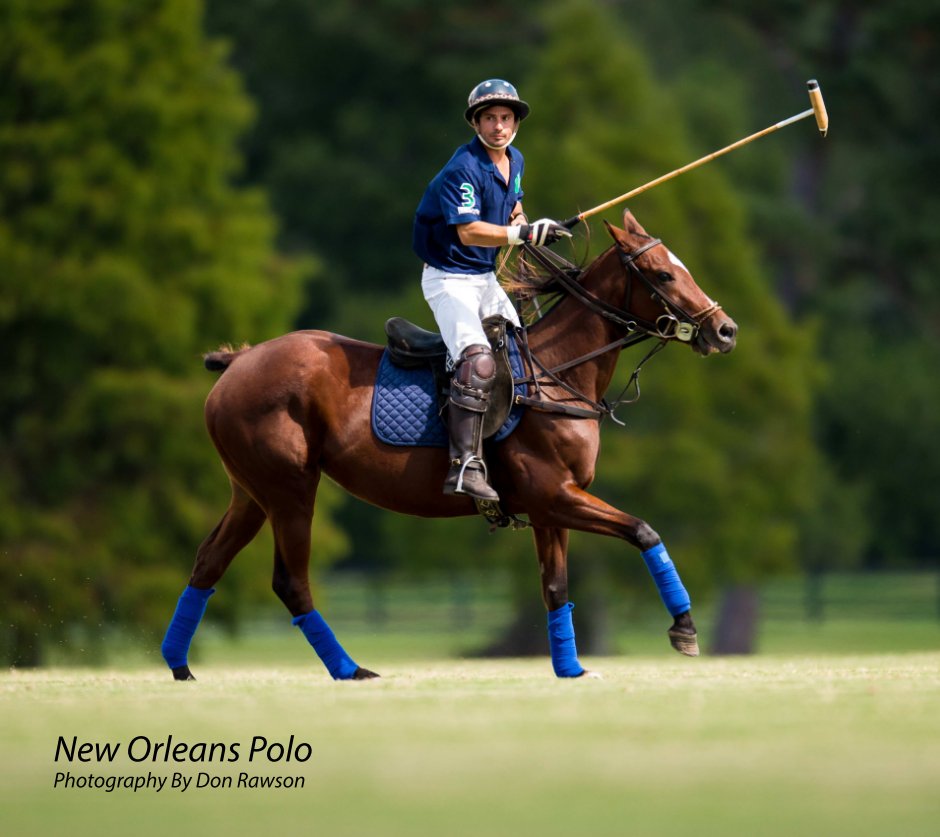 View New Orleans Polo by Don Rawson