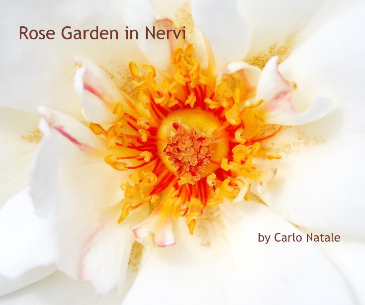 View Rose Garden in Nervi by Carlo Natale