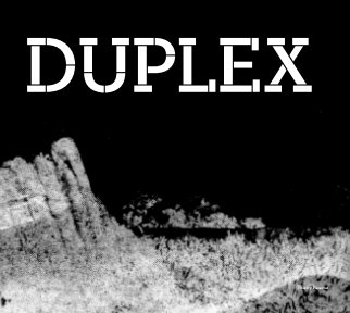 DUPLEX book cover