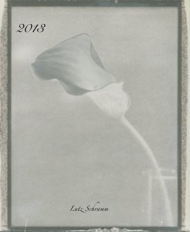 2013 book cover