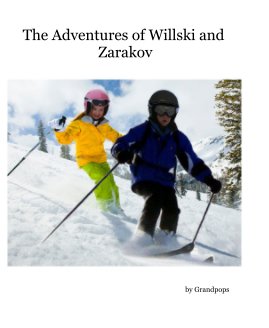The Adventures of Willski and Zarakov book cover