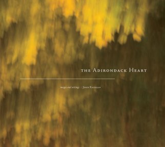The Adirondack Heart book cover