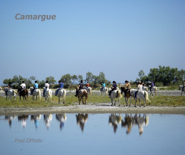 View Camargue by FredDPhoto