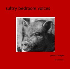 sultry bedroom voices book cover