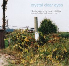 crystal clear eyes book cover