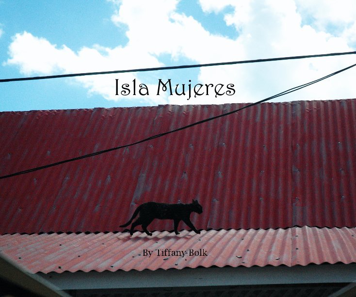 View Isla Mujeres By Tiffany Bolk by tbolk