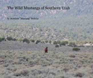 The Wild Mustangs of Southern Utah book cover
