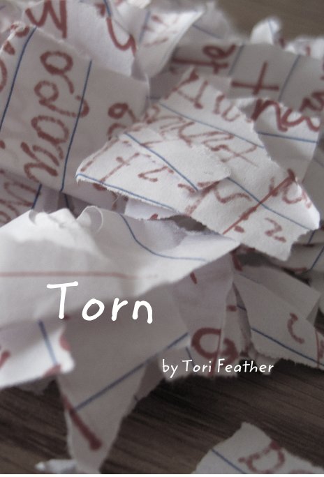 View Torn by Tori Feather