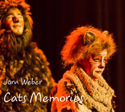 Cats Memories 2013 book cover