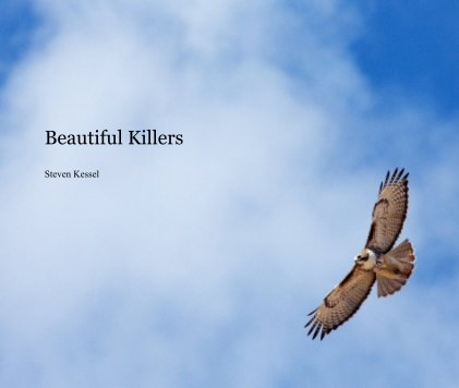 Beautiful Killers book cover