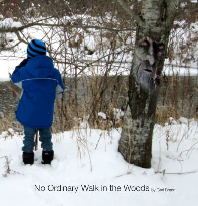 No Ordinary Walk in the Woods book cover