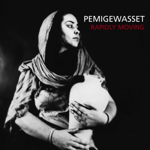 View Pemigewasset - Rapidly Moving by Henrieke I. Strecker