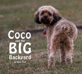 Coco and the BIG Backyard book cover