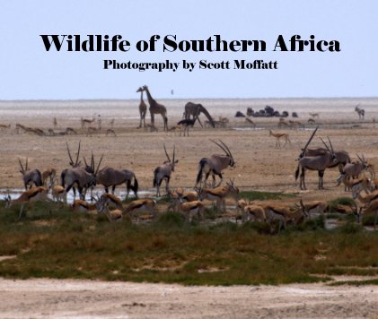 Wildlife of Southern Africa Photography by Scott Moffatt book cover