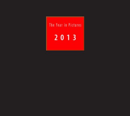 The Year in Pictures  2013 book cover