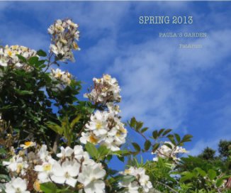 SPRING 2013 book cover