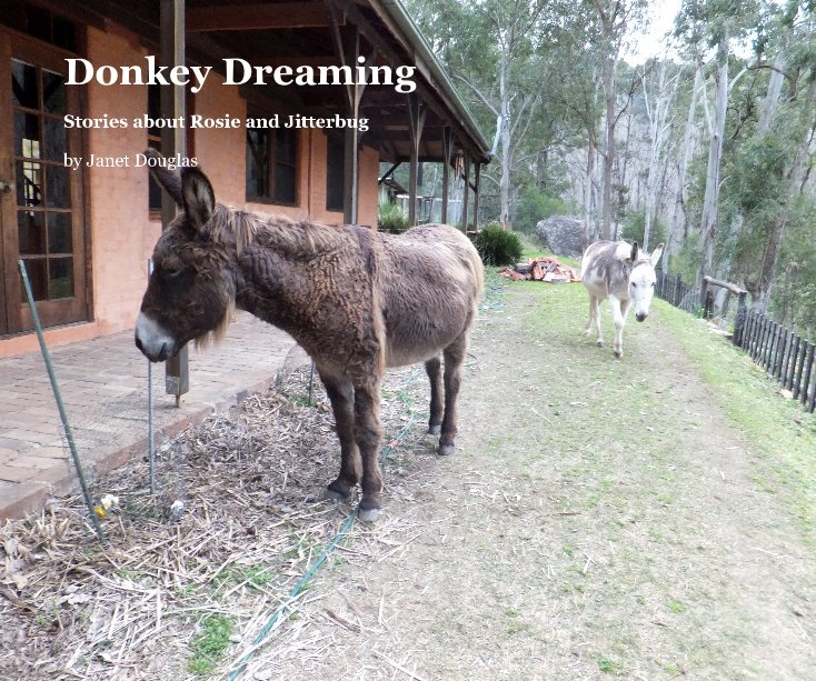 View Donkey Dreaming by Janet Douglas