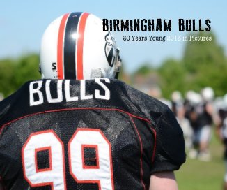 BIRMINGHAM BULLS 30 Years Young 2013 in Pictures book cover