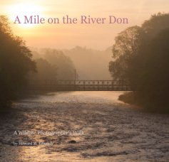 A Mile on the River Don book cover