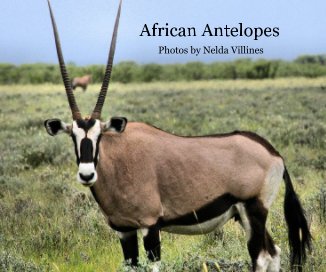 African Antelopes book cover