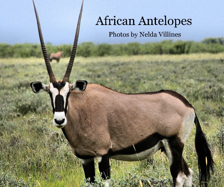 View African Antelopes by Nelda Villines