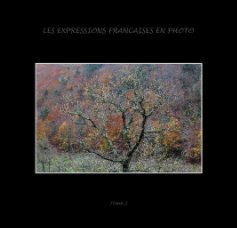Les expressions françaises en photo tome 2 book cover