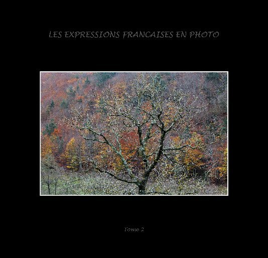 View Les expressions françaises en photo tome 2 by joelle Salmon
