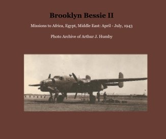 Brooklyn Bessie II book cover