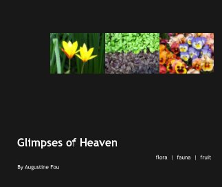 Glimpses of Heaven book cover