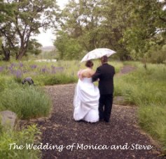 The Wedding of Monica and Steve book cover