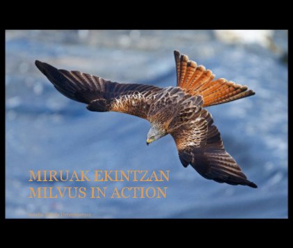 Miruak ekintzan Milvus in action book cover