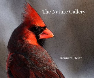 The Nature Gallery book cover