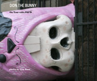 Don the Bunny book cover