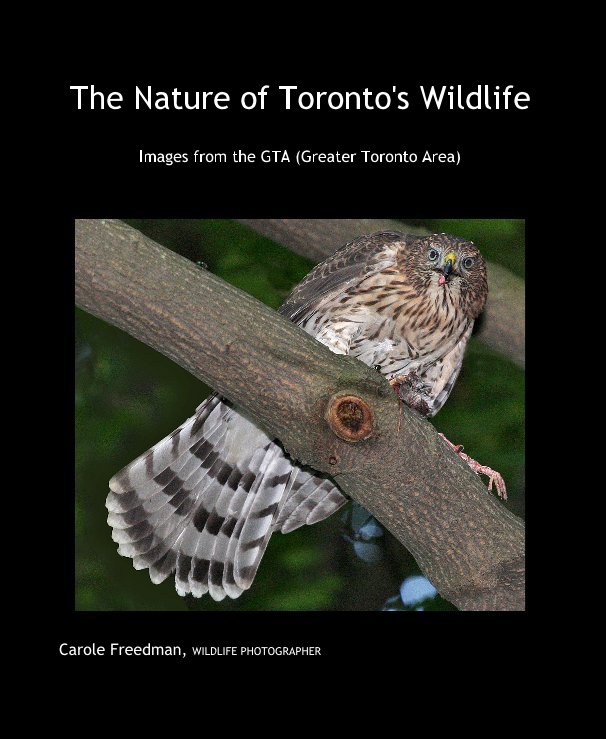 View The Nature of Toronto's Wildlife by Carole Freedman, WILDLIFE PHOTOGRAPHER