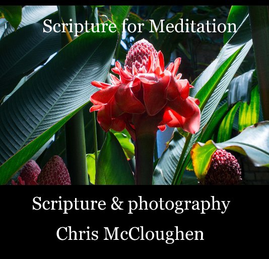 View Scripture for Meditation by Chris McCloughen