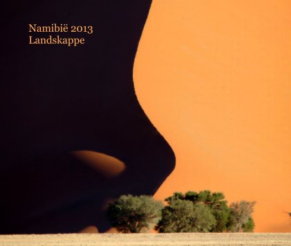 Namibië 2013 Landskappe book cover