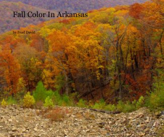 Fall Color In Arkansas book cover