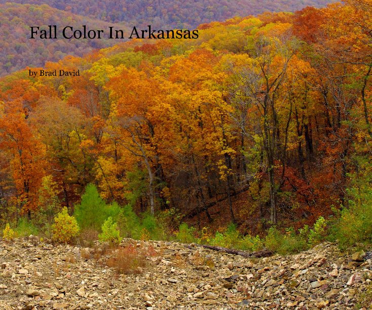 View Fall Color In Arkansas by Brad David