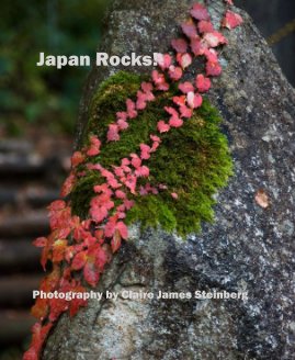 Japan Rocks! book cover
