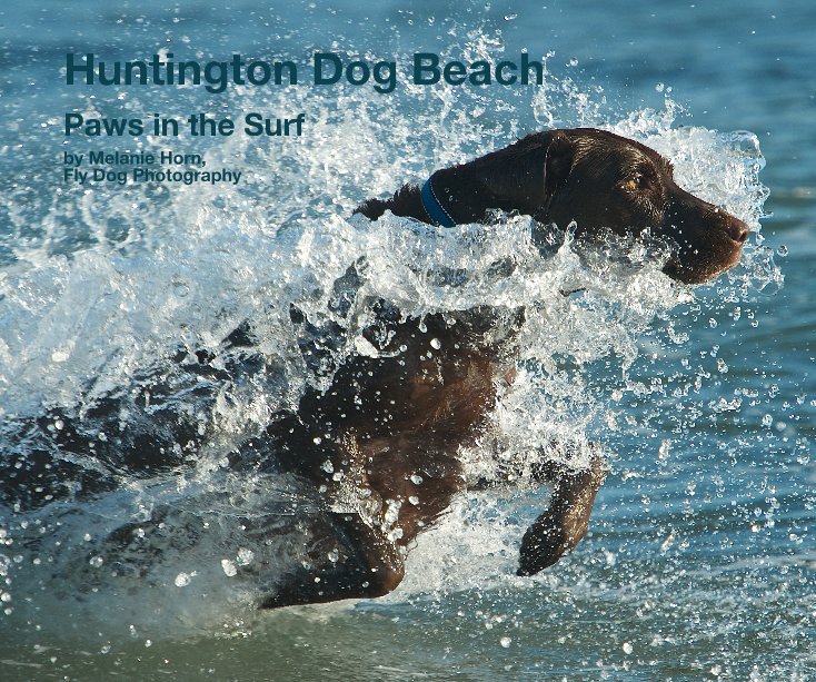 View Huntington Dog Beach by Melanie Horn, Fly Dog Photography