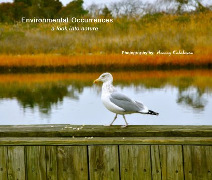 Environmental Occurrences a look into nature. book cover