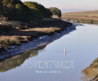 Adventurer book cover