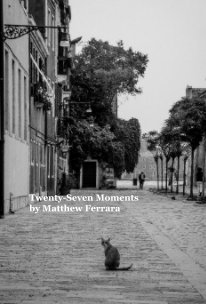 Twenty-Seven Moments by Matthew Ferrara book cover