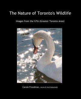 The Nature of Toronto's Wildlife book cover